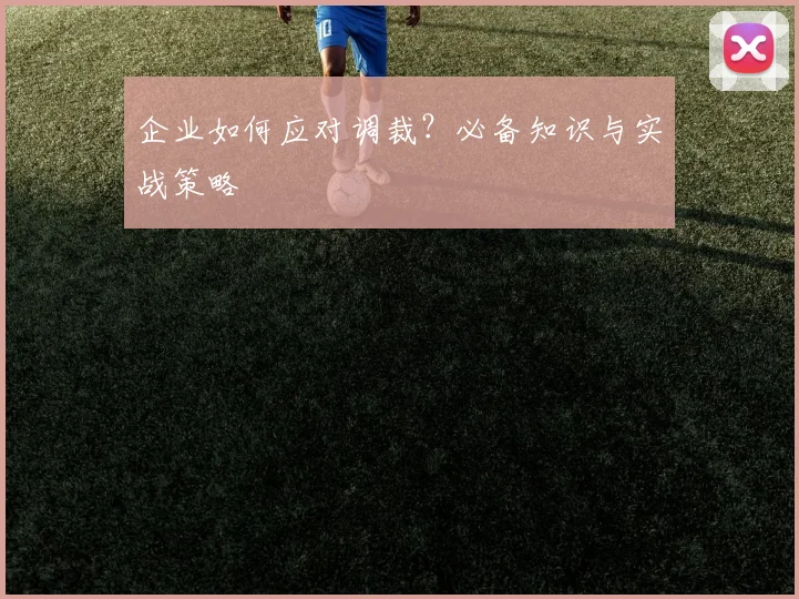 企业如何应对调裁?必备知识与实战策略