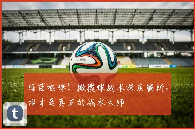 绿茵咆哮！橄榄球战术深度解析，谁才是真正的战术大师