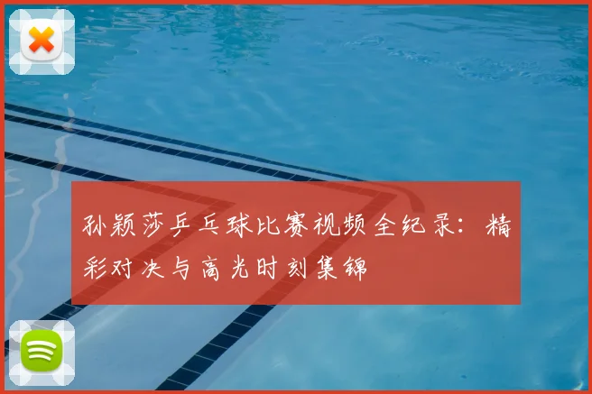 孙颖莎乒乓球比赛视频全纪录：精彩对决与高光时刻集锦