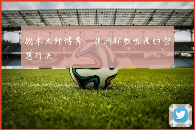 战术大师博弈,非洲杯教练团的智慧对决