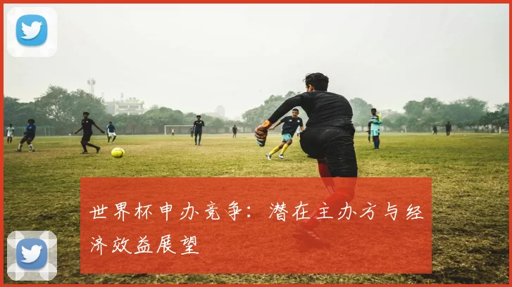 世界杯申办竞争：潜在主办方与经济效益展望