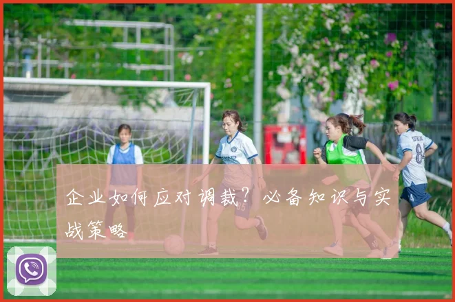 企业如何应对调裁?必备知识与实战策略
